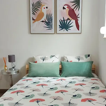 Cozy In Apartment