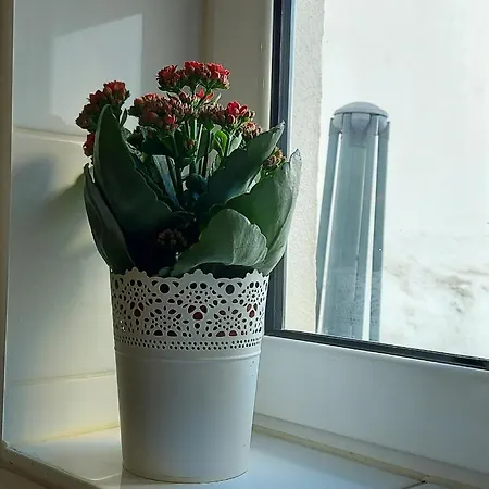 Cozy In Lisboa